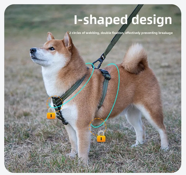 Harnais en Cuir pour Chien - Style Gilet, avec Collier et Laisse