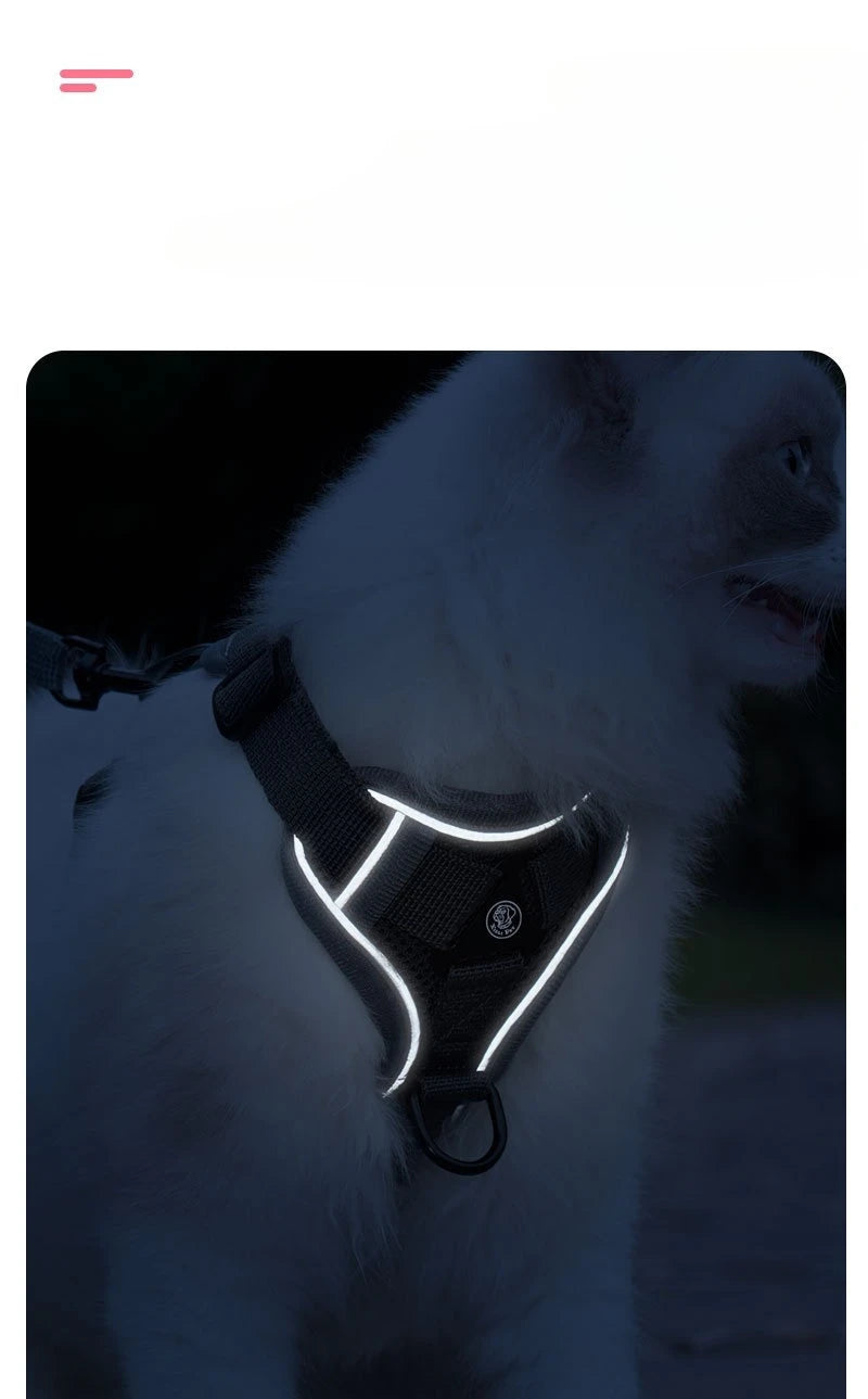 Ensemble Harnais et Laisse Sans Traction pour Petit Chien et Chat