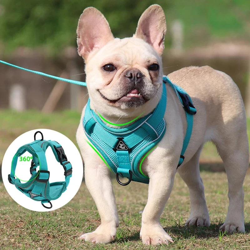Ensemble Sans Côtes en Maille pour Petit Chien et Chat - Bouledogue Français