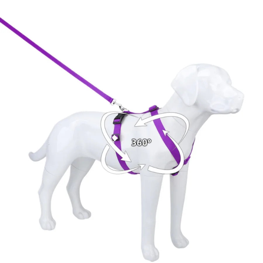 Harnais et Laisse Nylon Résistant pour Grand Chien