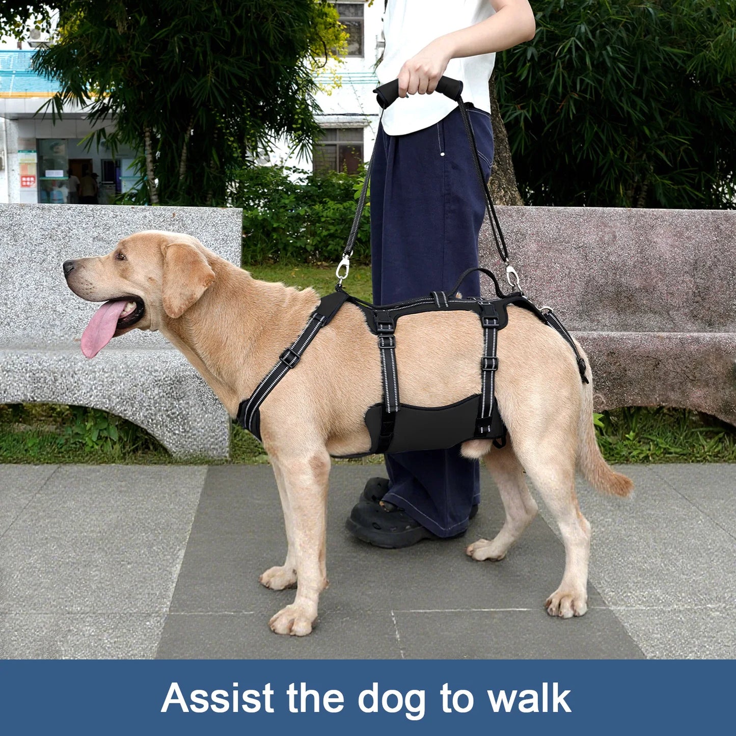Harnais de Soutien Dorsal Réglable pour Chien - Post-Chirurgical