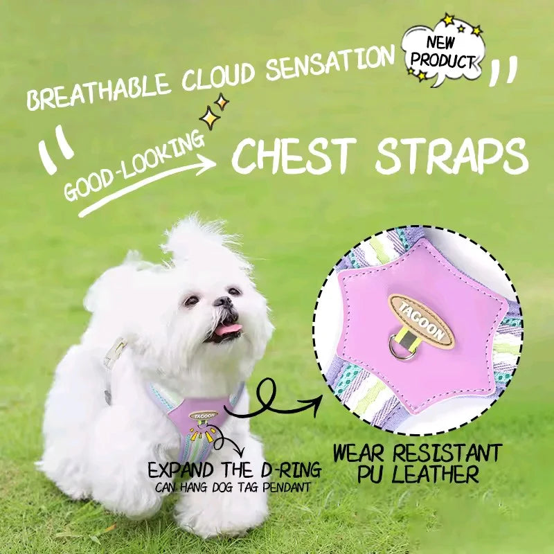 Harnais de Marche Léger et Réglable pour Chiot - Réfléchissant
