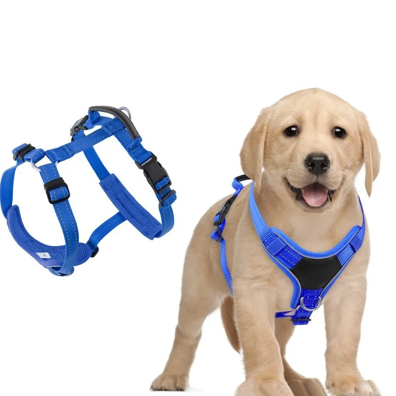 Harnais Forme I Anti-Évasion pour Chien - Enfilage Rapide