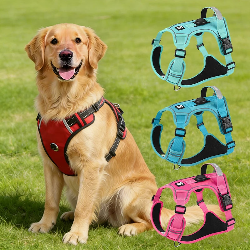 Harnais Type Veste pour Chien - Toutes Races, Résistant aux Chocs