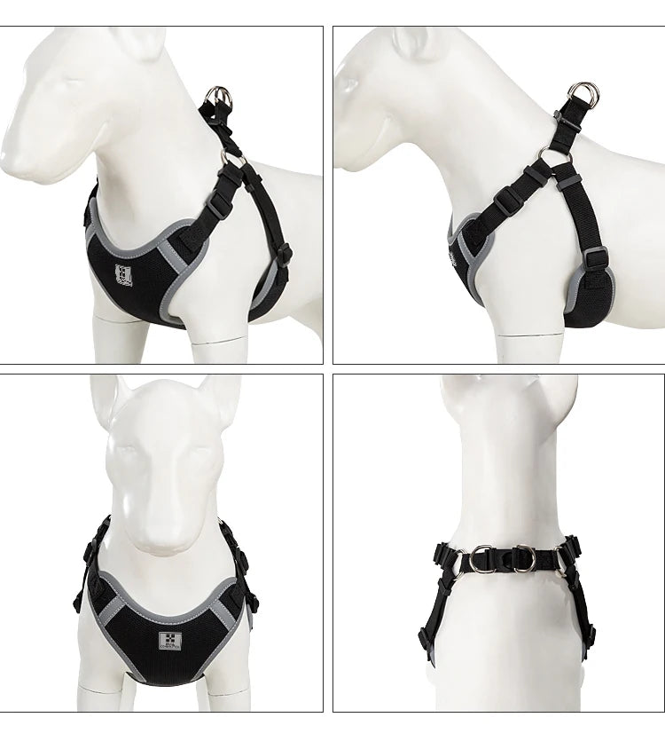 Ensemble Harnais et Laisse Réglable pour Chat et Petit Chien