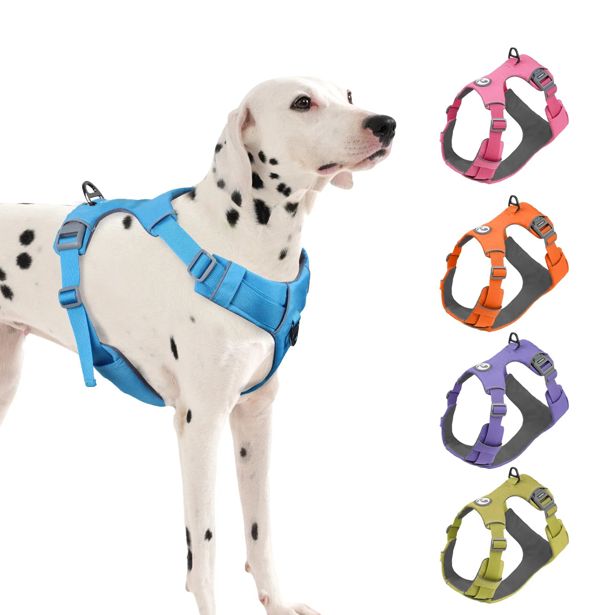Harnais de Sécurité Anti-Traction pour Chien - Solide et Réglable