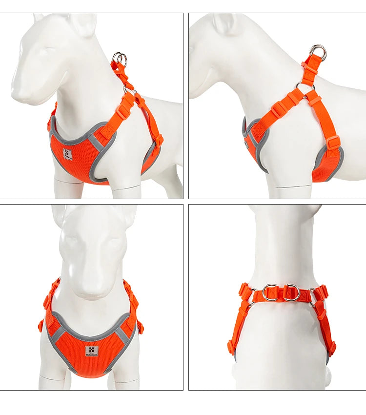 Ensemble Harnais et Laisse Réglable pour Chat et Petit Chien