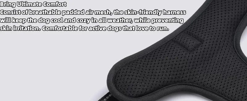 Harnais et Laisse Corde Nylon pour Grand Chien