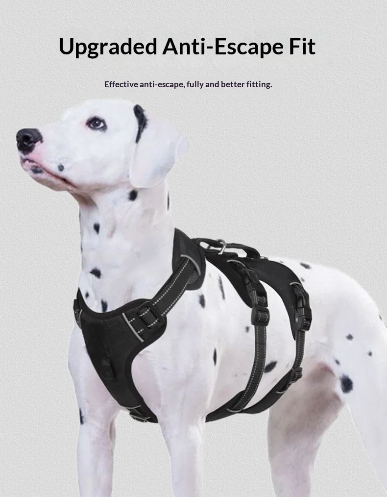 Harnais Anti-Évasion Grand Chien - Laisse Oxford Incluse