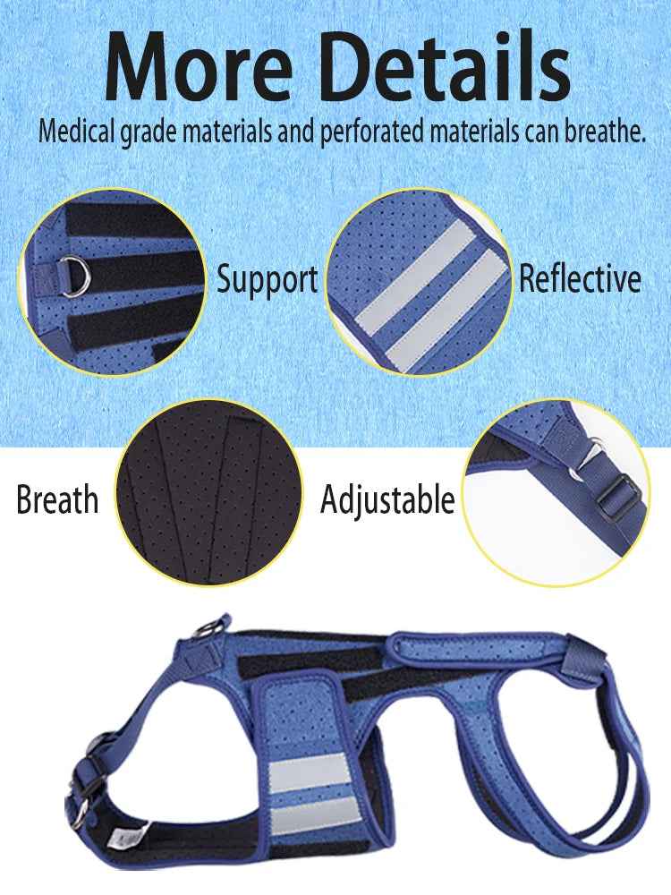 Harnais de Soutien Dorsal COODEO - Protection Colonne Vertébrale