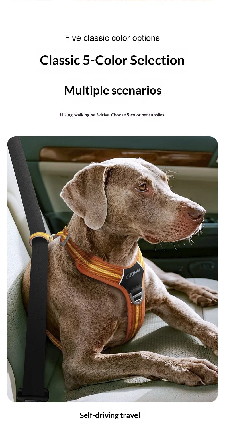 Harnais Anti-Traction Souple et Résistant pour Chien