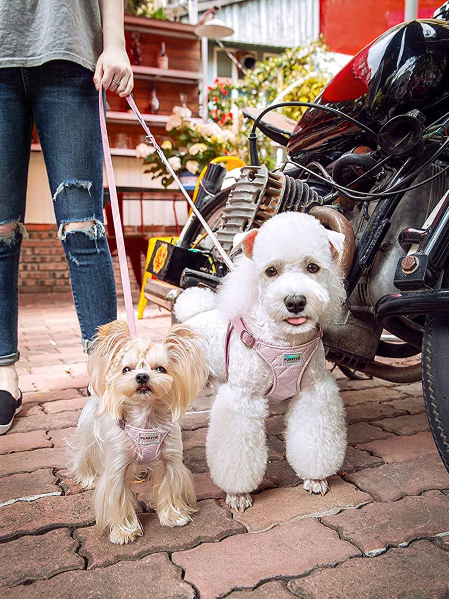 Harnais Sans Traction pour Chiot et Petit Chien - Marche Douce