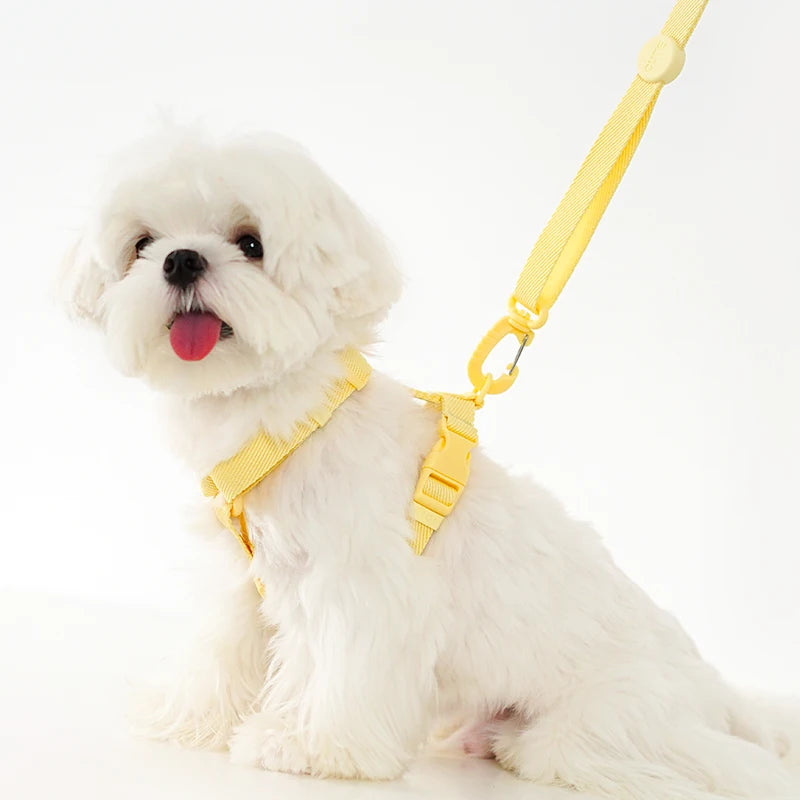 Harnais Anti-Traction Confortable pour Chien - Sangle Réglable