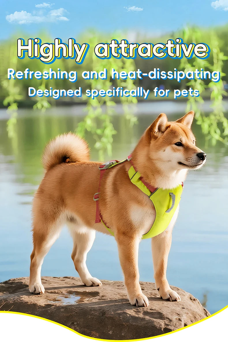 Harnais Anti-Évasion Léger Imperméable pour Chien Moyen - Réfléchissant