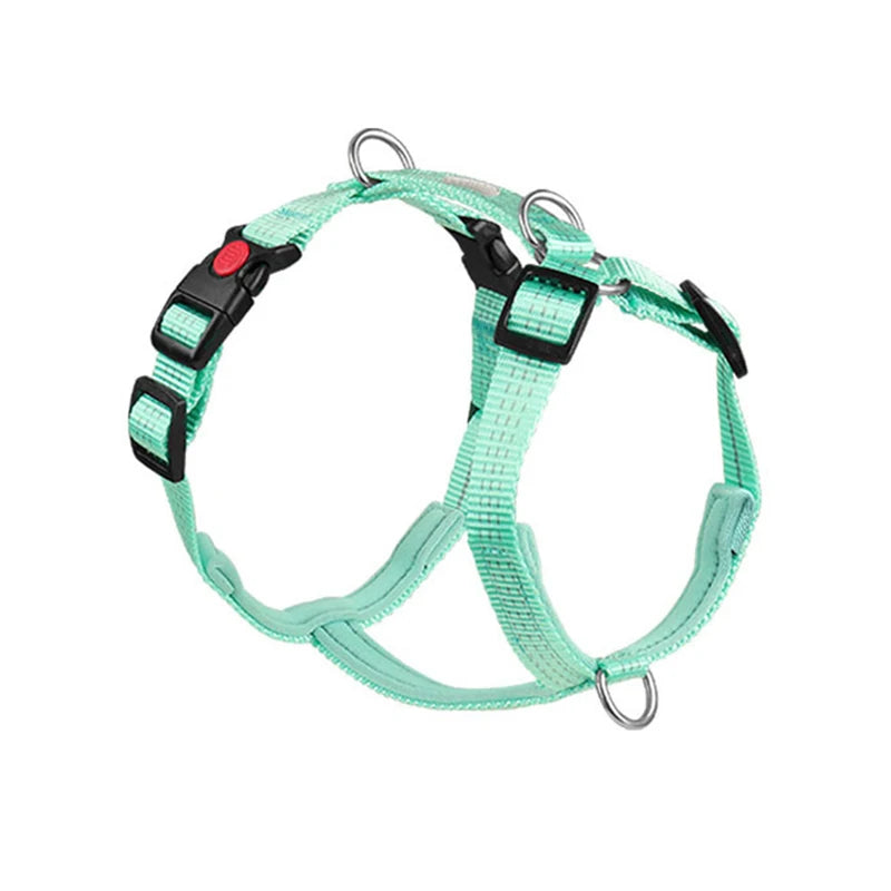 Harnais Type H en Nylon avec 2 Anneaux D - Léger, Anti-Traction
