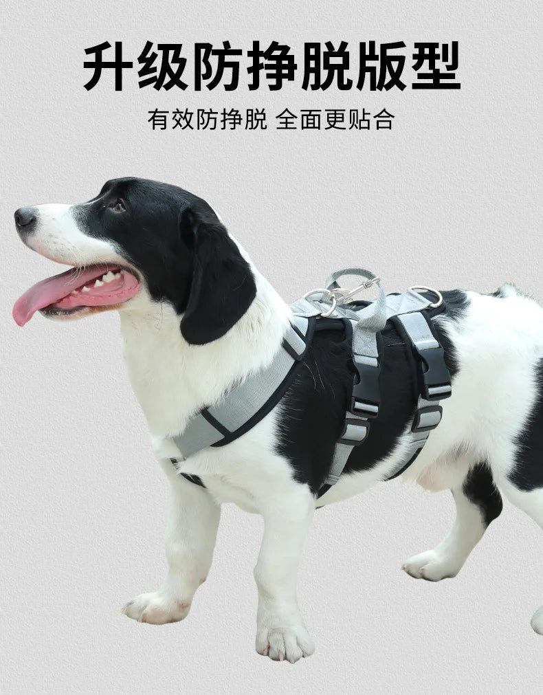 Harnais et Laisse Anti-Évasion Robuste pour Chien - Idéal Corgi