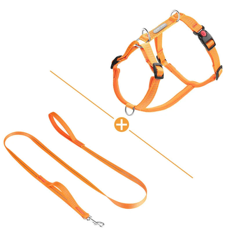 Harnais Type H en Nylon avec 2 Anneaux D - Léger, Anti-Traction