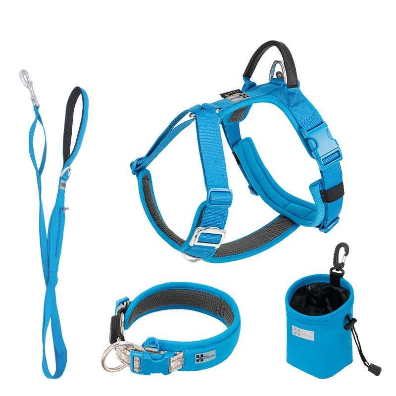 Ensemble Harnais et Laisse Anti-Traction pour Grand Chien