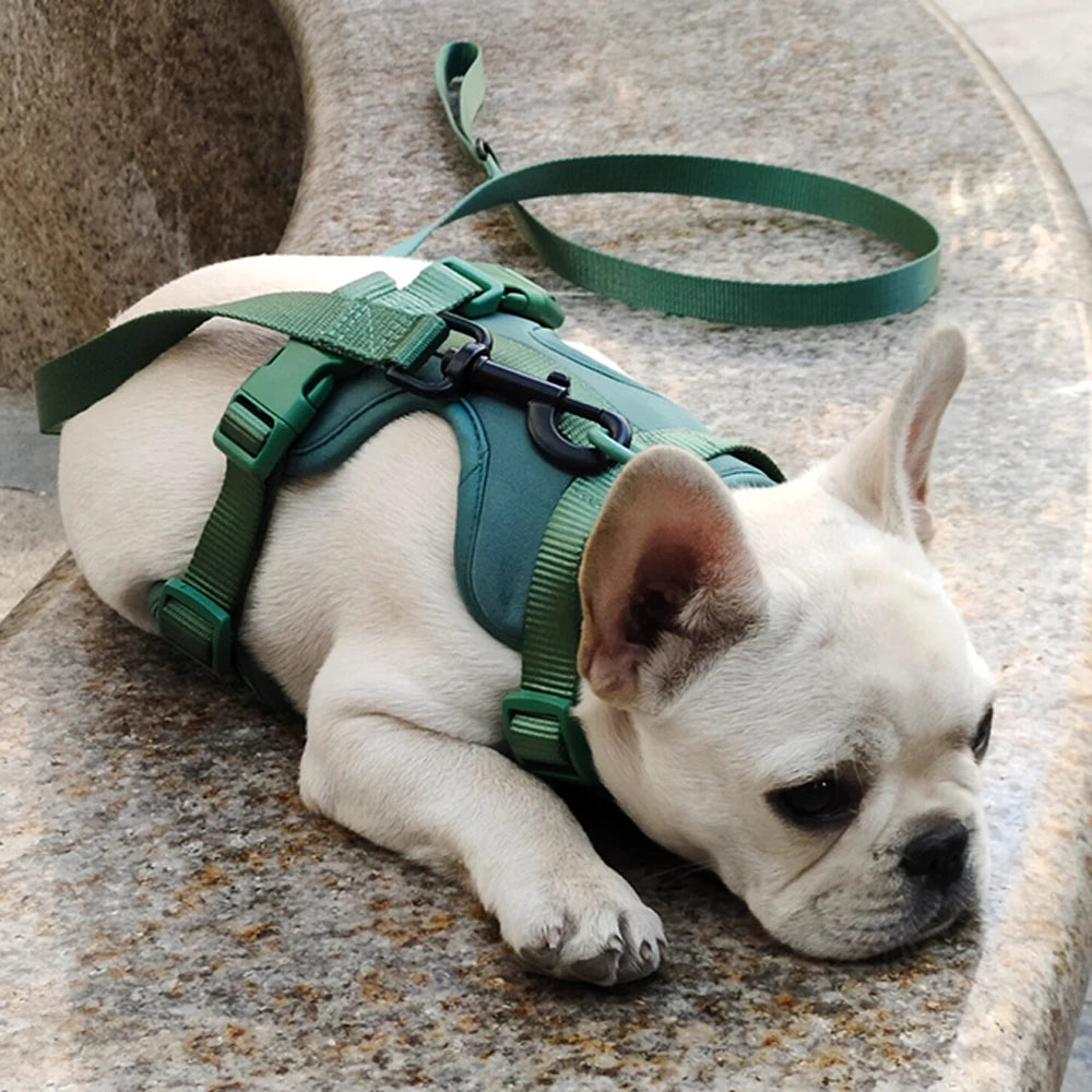 Harnais Léger Respirant pour Petit et Moyen Chien - Réglable