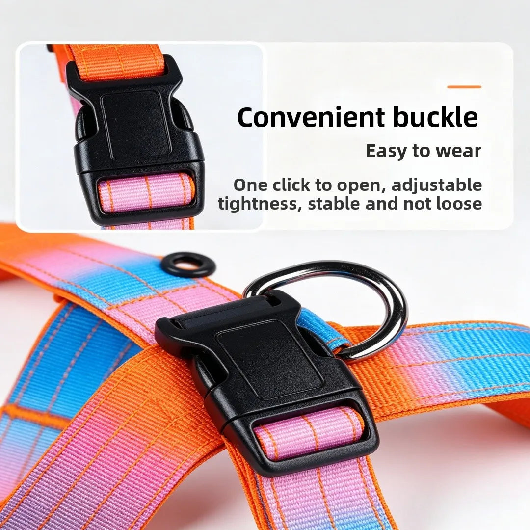 Harnais Brodé Sur Mesure en Nylon Dégradé - Anti-Traction
