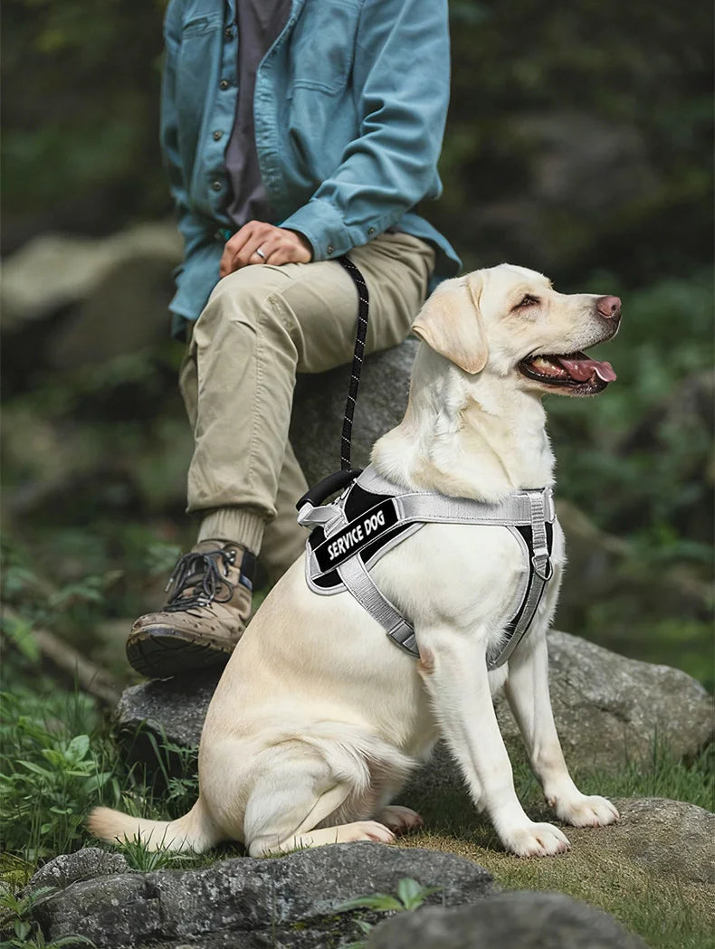 Harnais Réfléchissant pour Grand Chien - Poignée, Plusieurs Coloris