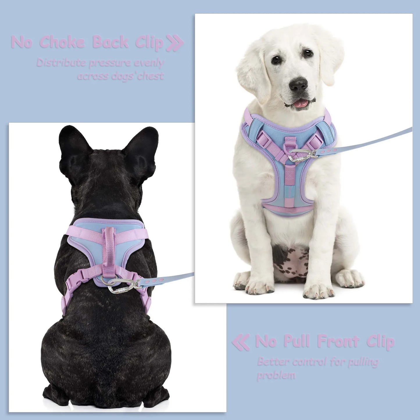 Harnais de Luxe Moyen Anti-Traction pour Chien - Personnalisé