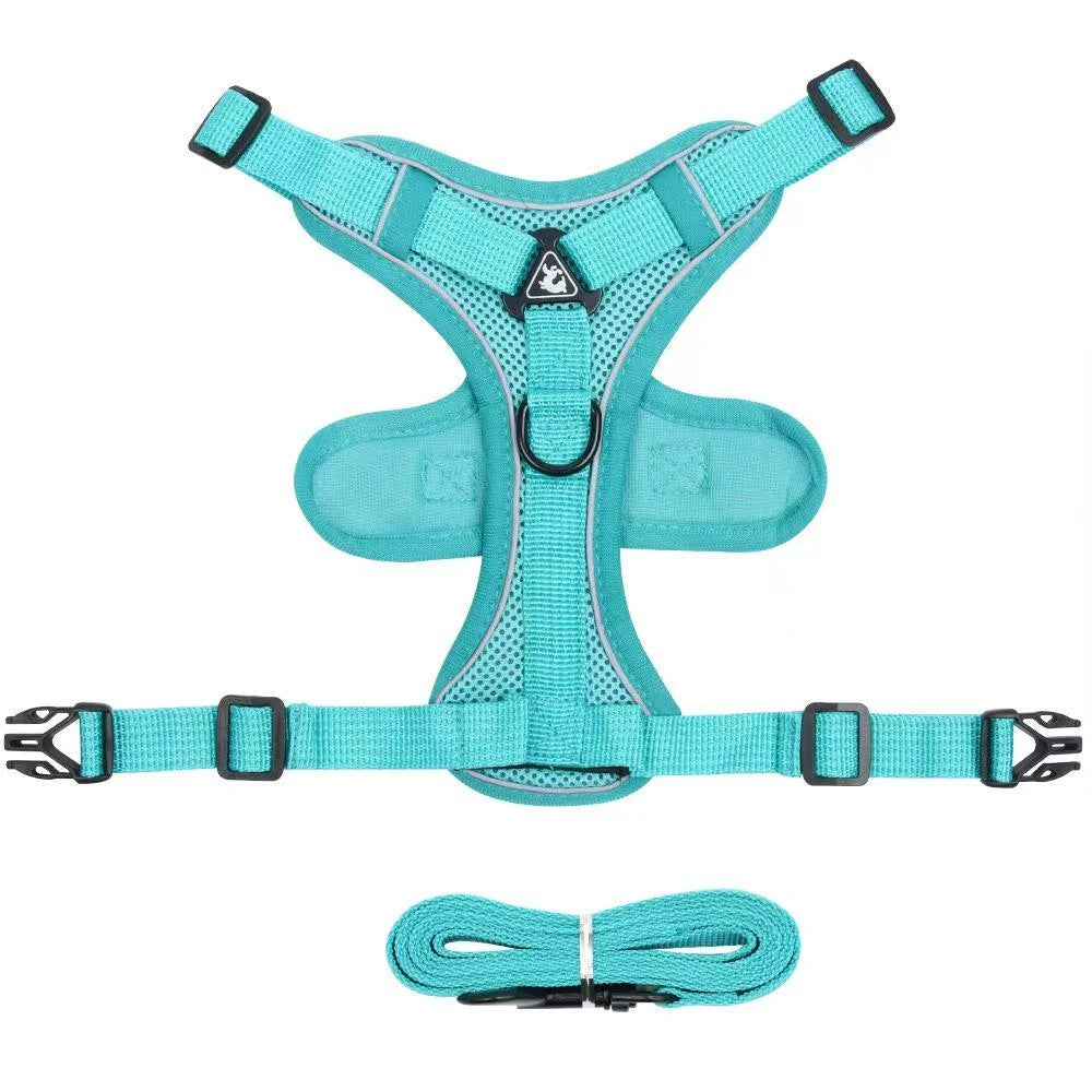 Ensemble Harnais et Laisse Anti-Traction pour Petit Chien et Chat - Réfléchissant