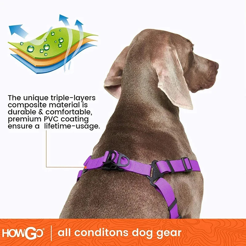 Harnais Réglable Étanche pour Chien - Sans Traction, Toutes Tailles