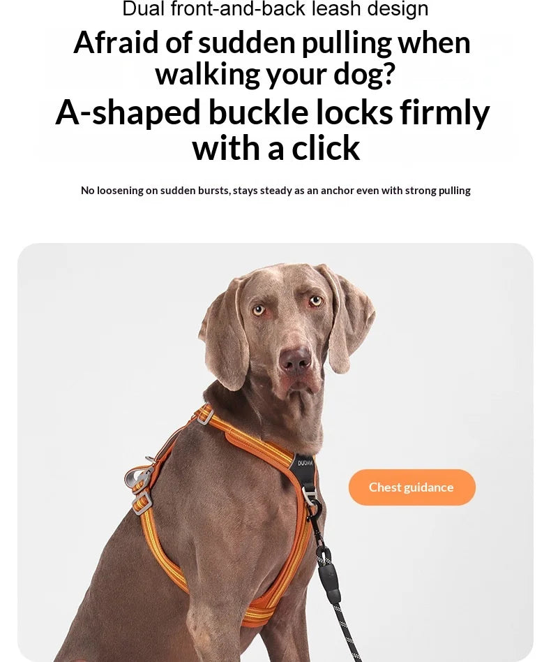 Harnais Anti-Traction Souple et Résistant pour Chien