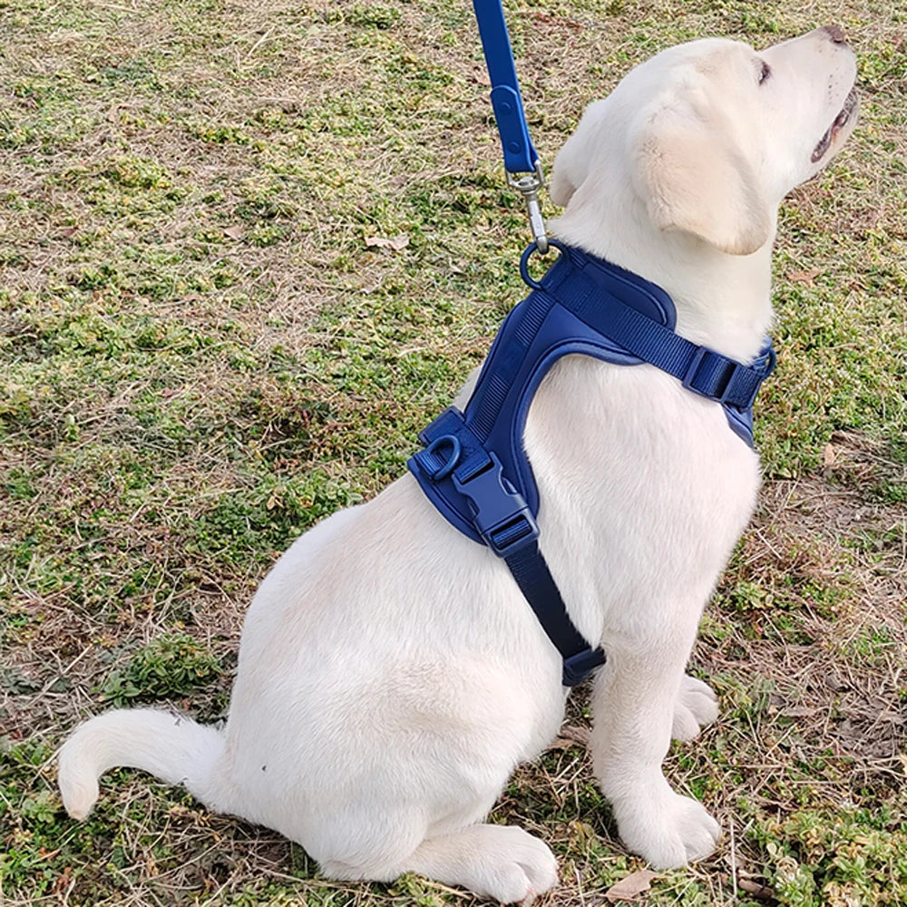 Harnais Léger Respirant pour Petit et Moyen Chien - Réglable