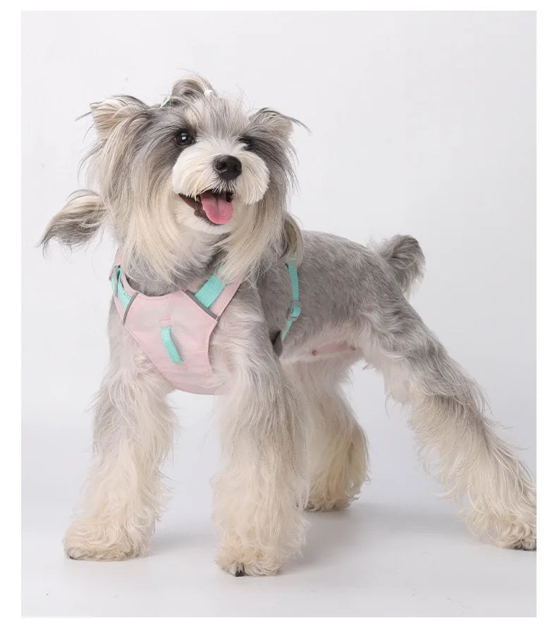 Harnais Léger Réfléchissant pour Chien et Chat - Sans Traction