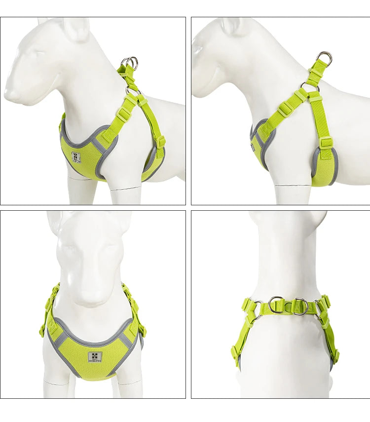 Ensemble Harnais et Laisse Réglable pour Chat et Petit Chien