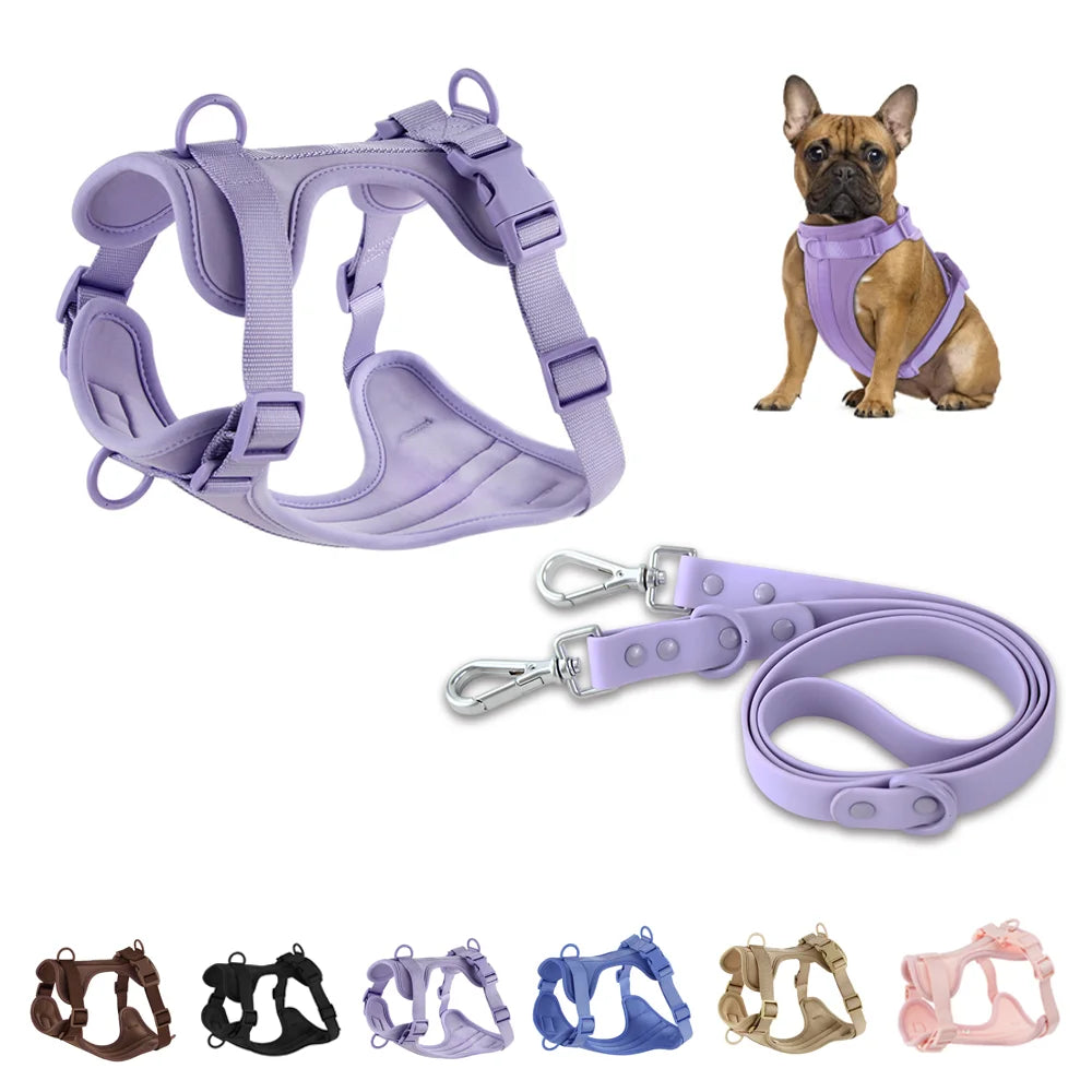 Harnais et Laisse Double en PVC pour Chien - Confortable, Respirant