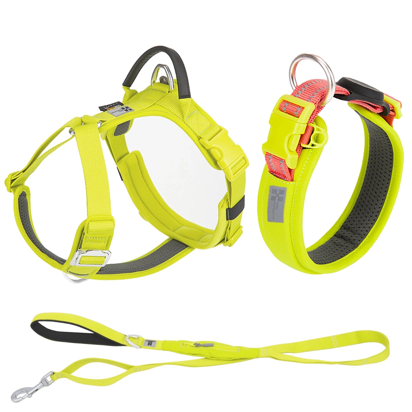 Ensemble Harnais et Laisse Anti-Traction pour Grand Chien