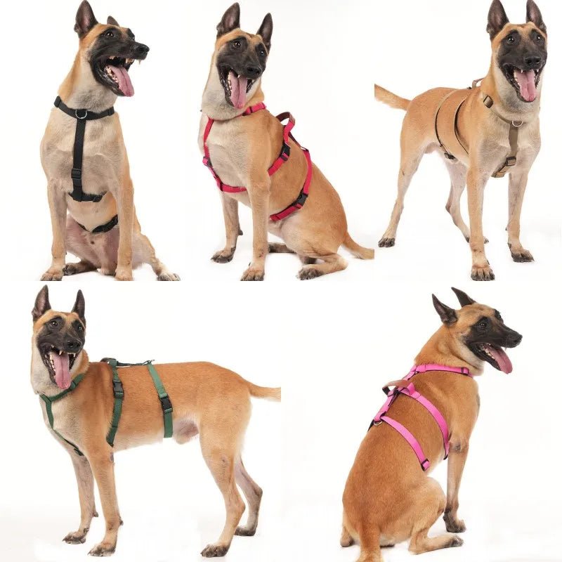 Harnais Anti-Traction Nylon pour Grand Chien - Entraînement