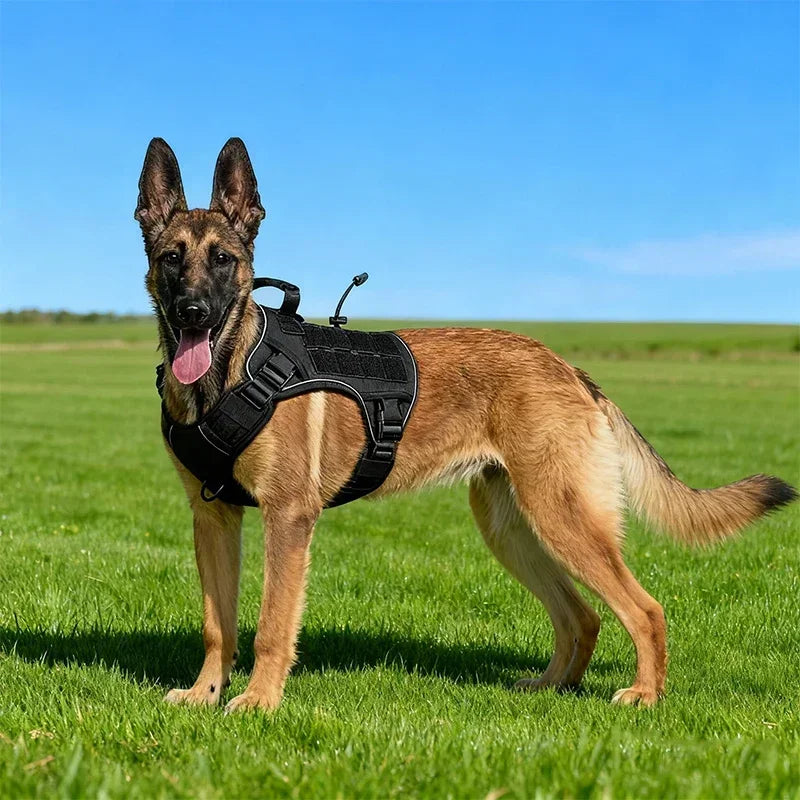 Gilet d'Extérieur Anti-Éclaboussures pour Chien - Poignée Réglable