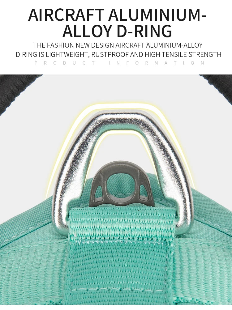 Ensemble Harnais et Laisse Anti-Traction pour Grand Chien