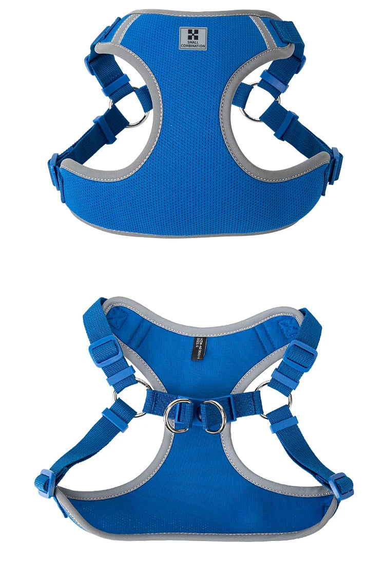 Ensemble Harnais et Laisse Réglable pour Chat et Petit Chien