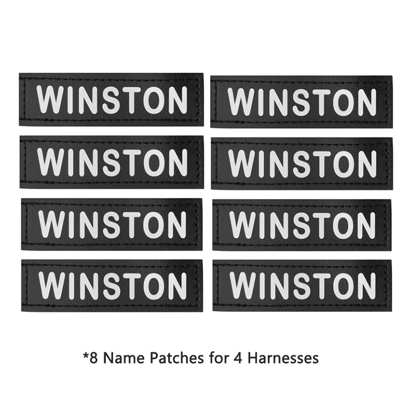 Harnais Personnalisé avec Patch Nominatif - Anti-Traction
