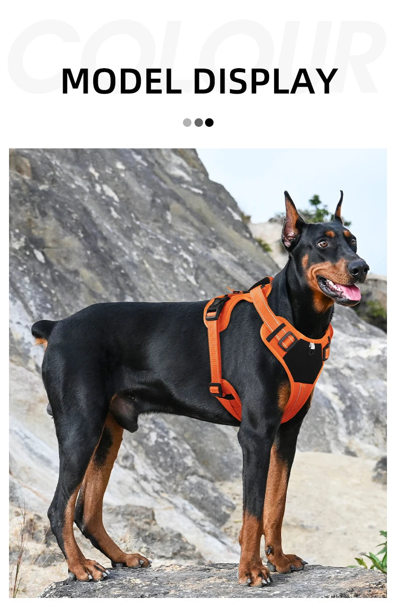 Harnais Multifonction en Nylon pour Chien - Toutes Tailles