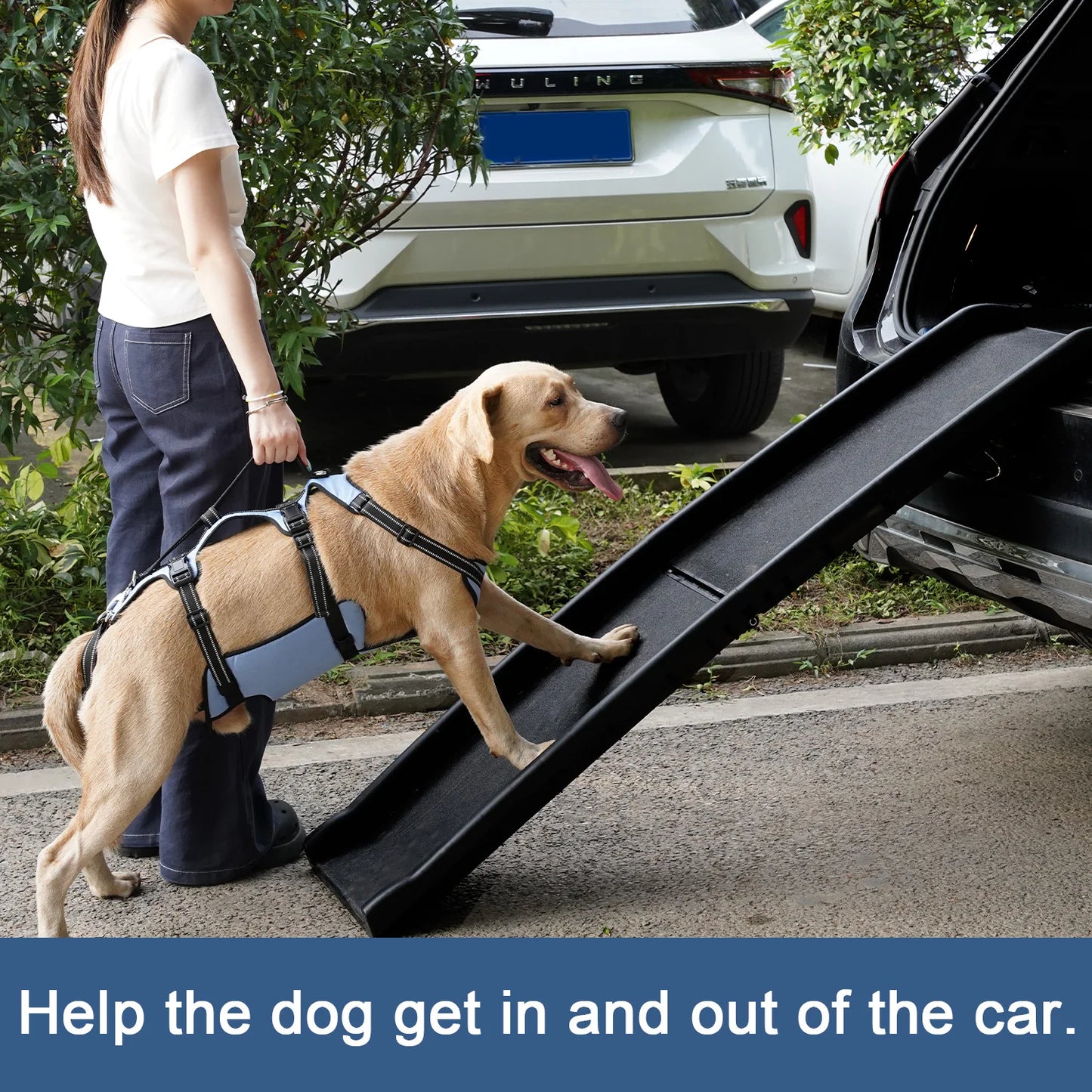 Harnais de Levage COODEO pour Chien - Rééducation, Sangles Réglables