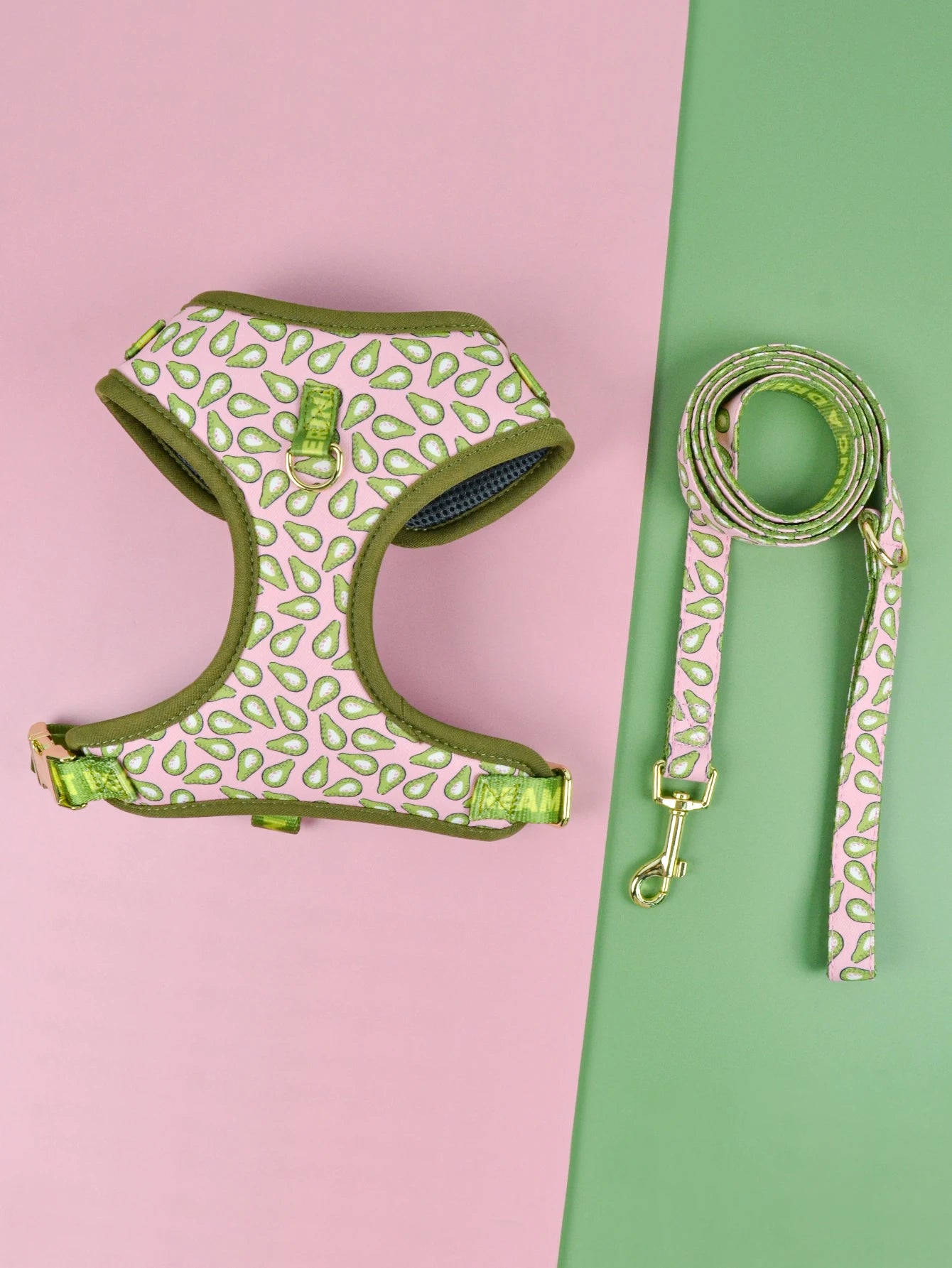 Harnais de Luxe pour Chien - Design Mignon, avec Laisse