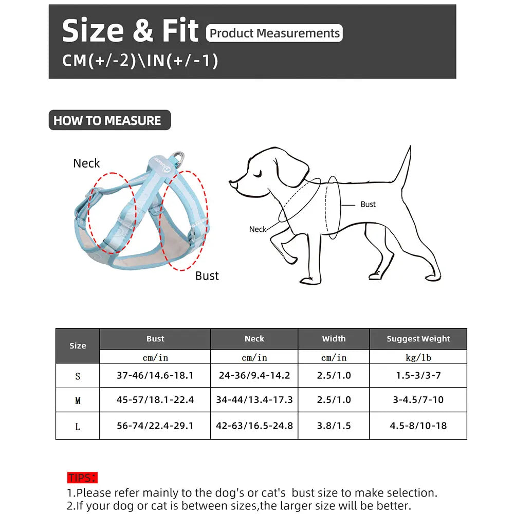 Gilet Nylon Sans Traction pour Petit Chien - Léger et Confortable