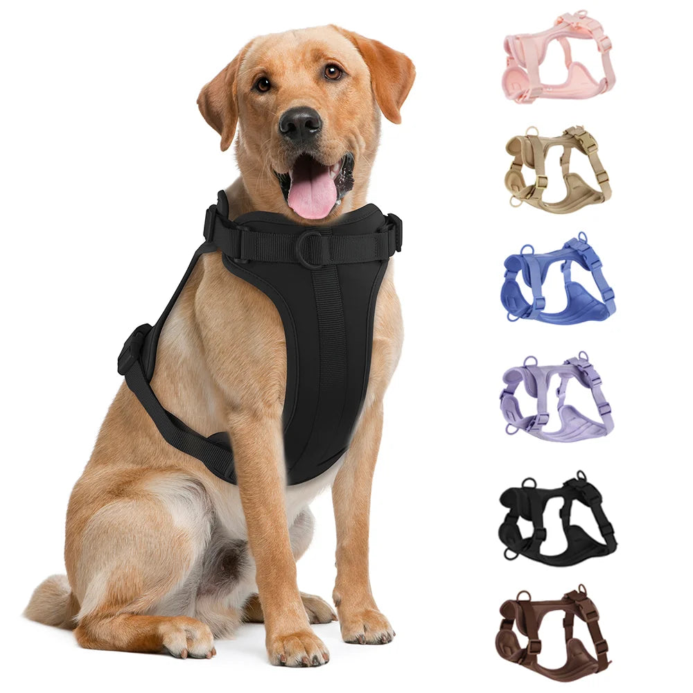 Harnais et Laisse Double en PVC pour Chien - Confortable, Respirant