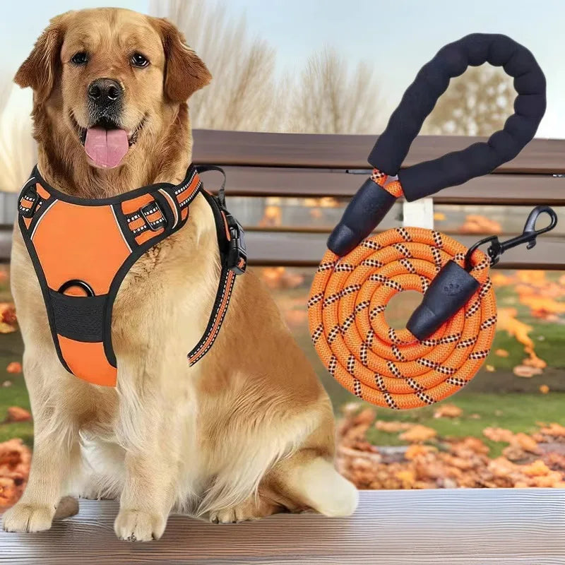 Ensemble Harnais et Laisse Réfléchissants pour Grand Chien