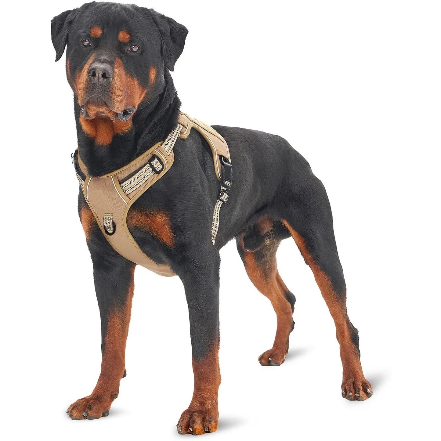 Harnais Tactique Anti-Traction pour Chien - Poignée de Contrôle