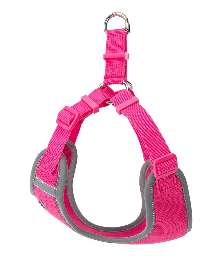 Ensemble Harnais et Laisse Réglable pour Chat et Petit Chien