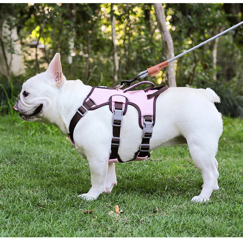 Harnais Anti-Évasion 3 Sections pour Grand Chien - avec Laisse