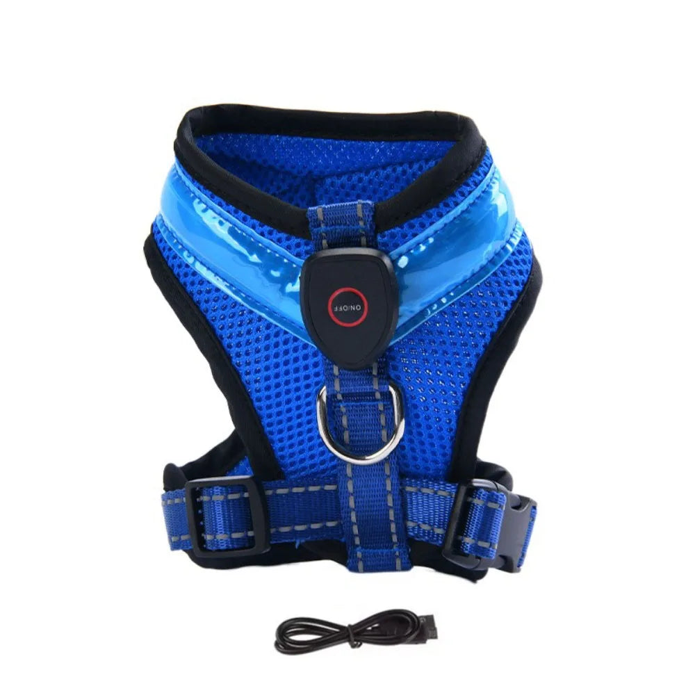 Harnais LED Lumineux Rechargeable pour Chien - Sorties Nocturnes