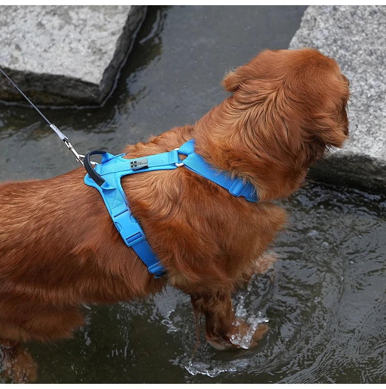 Harnais Anti-Traction en Nylon Réfléchissant pour Chien - Course